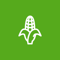 Icon_Landwirtschaft2
